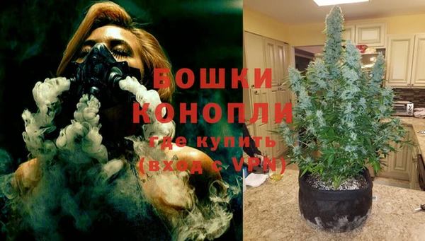 альфа пвп Няндома