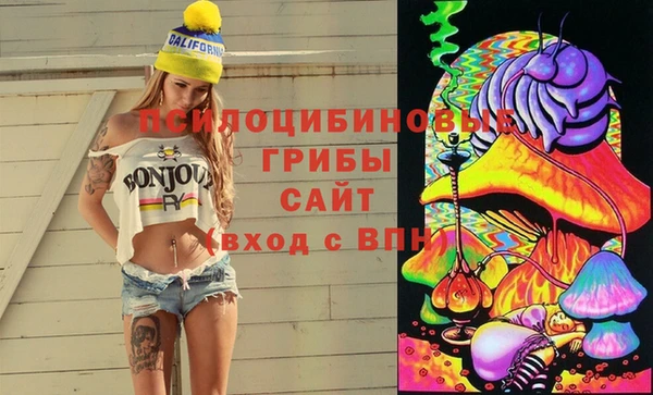 альфа пвп Няндома