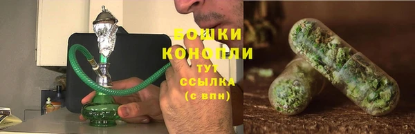 гидропоника Новозыбков