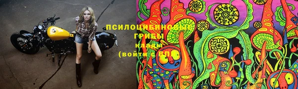 марки lsd Нязепетровск