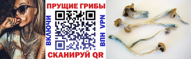 купить наркотики цена  Собинка  Псилоцибиновые грибы мицелий 